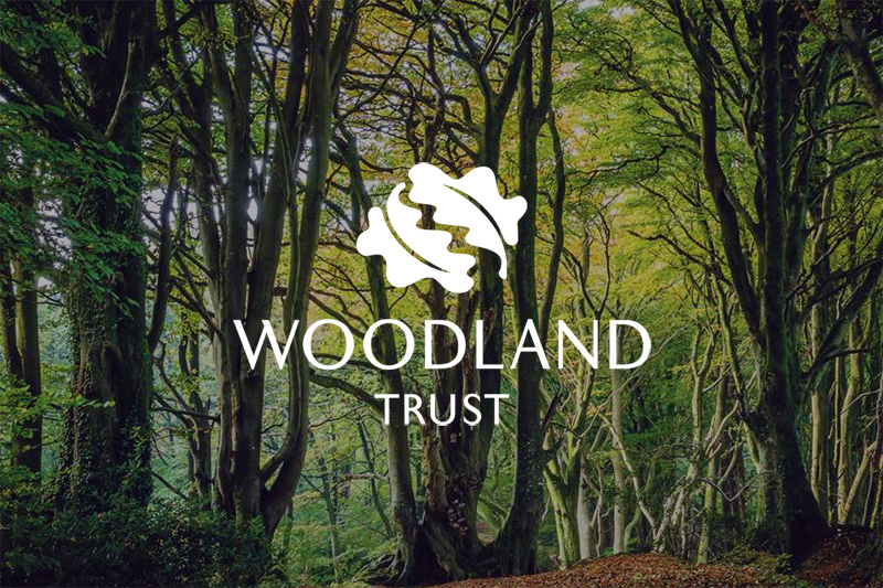 Dyce Energy Supports The Woodland Trust