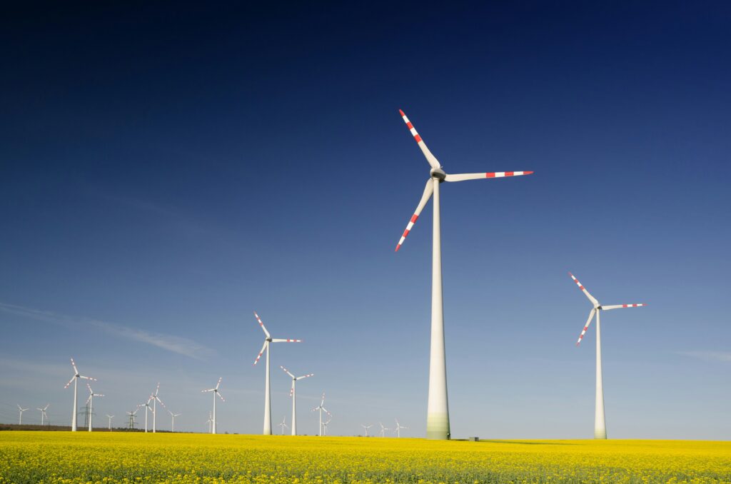 Windmills in a field of flowers against a dark blue sky.